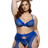 Millennium Fishnet & Wide Elastic Bra, Thong & Garter Chaps